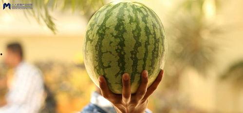 娱乐圈吃瓜西瓜